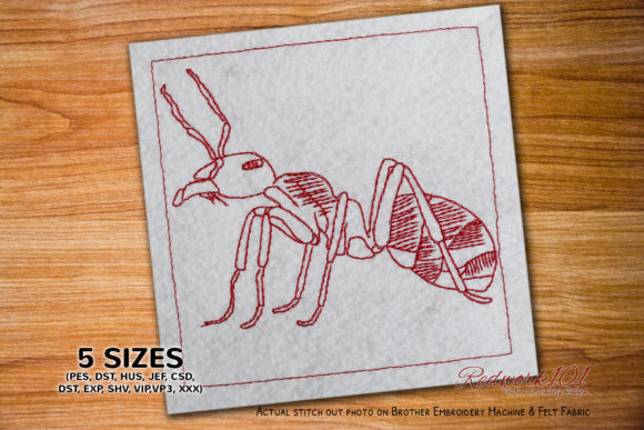 Aggressive Ant