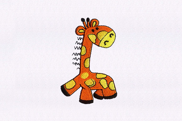 Baby Giraffe