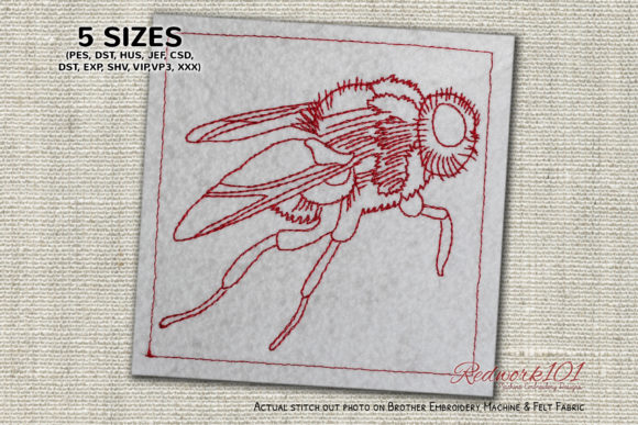 Creepy Botfly