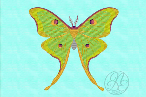 Luna Moth - ITH